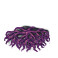 Ship part neurochips default.png