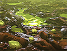 D rotten soil blocker.png