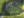 D alien pets deposit.png