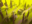 D unpleasant atmosphere blocker.png