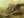 D bioship remains.png