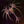 Tech cosmogenesis weaver.png