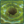 Decision wilderness planet expand.png