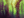 D poisonous algae blocker.png