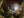 D fungal caves.png