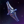 Enigma Battlecruiser