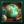 Fixer Upper.png