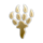 Flag zoological 12.png
