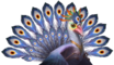 Avian 18.png
