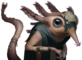 Mammalian ratling.png